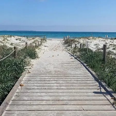 Il Glicine וילסימיוס